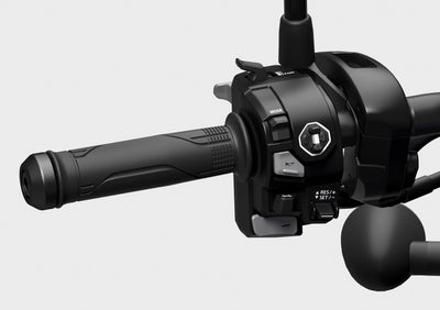 Honda CMX1100 Rebel Special Edition DCT (2026)