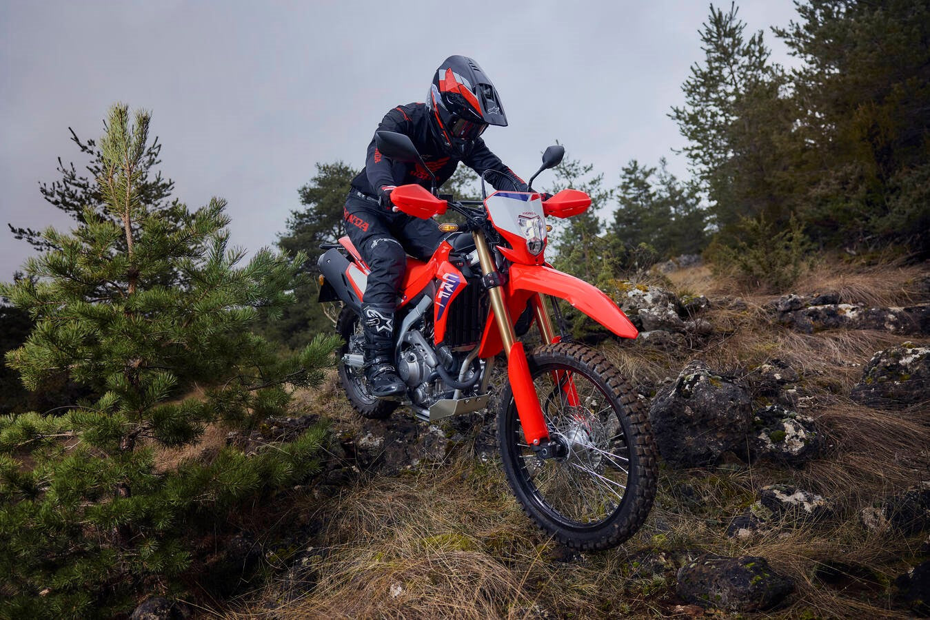 Honda CRF300L (2026)