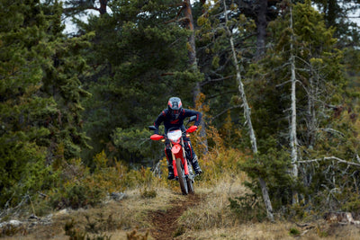 Honda CRF300L (2026)