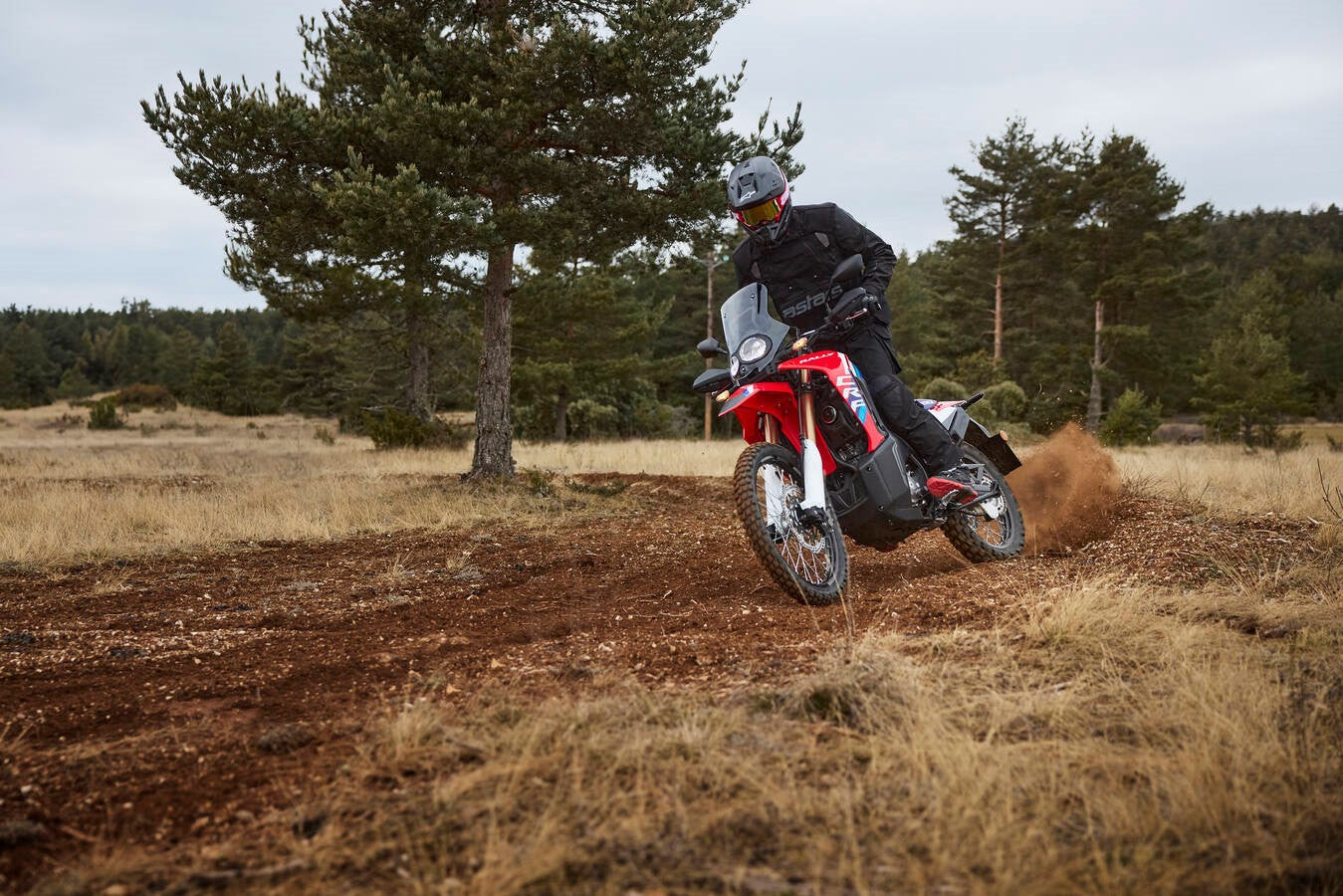 Honda CRF300L Rally (2026)