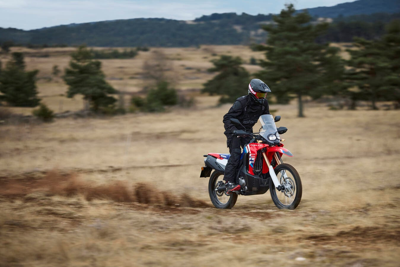 Honda CRF300L Rally (2026)