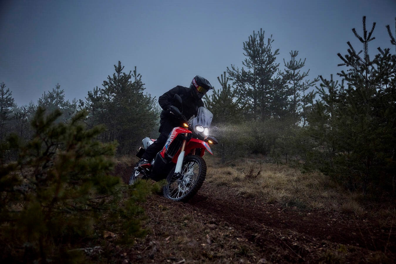 Honda CRF300L Rally (2026)