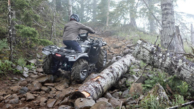 Yamaha Grizzly 700 EPS SE (2025)