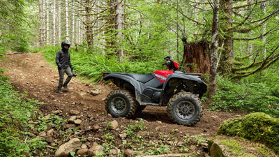 Yamaha Grizzly 700 EPS (2025)